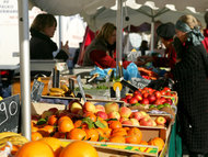 Fresh Market
