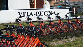 Bikes