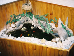 Fish Pond