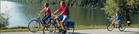 Vita Pugna Bike