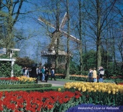 Kukenhof Gardens in Spring Time